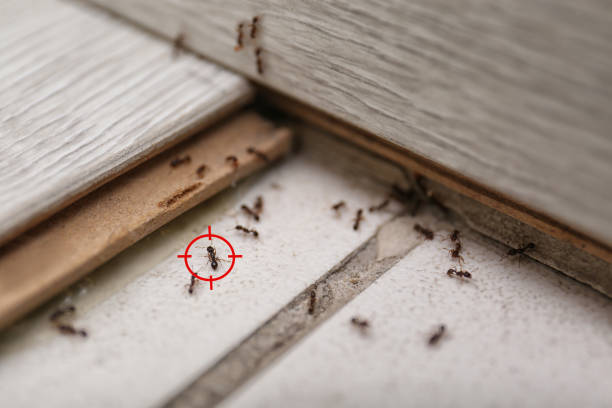 Pleasant Ridge, MI Pest Control Company
