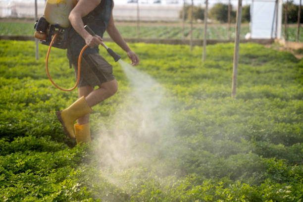 Pest Prevention Services in Pleasant Ridge, MI