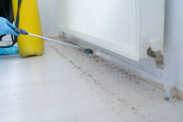 Best Ant Control Services  in Pleasant Ridge, MI