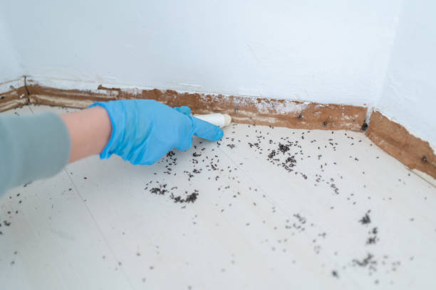 Best Best Pest Control Companies  in Pleasant Ridge, MI